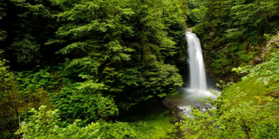 Elevit - Ayder Yaylası Turu 