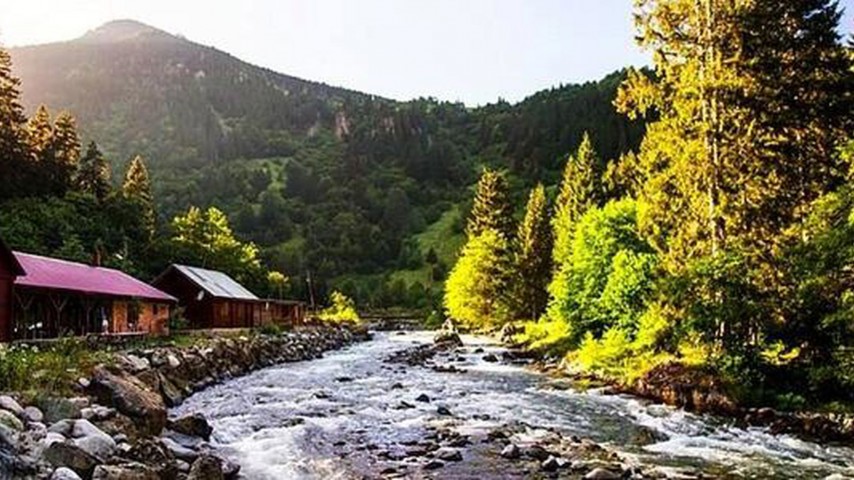 Elevit - Ayder Yaylası Turu 