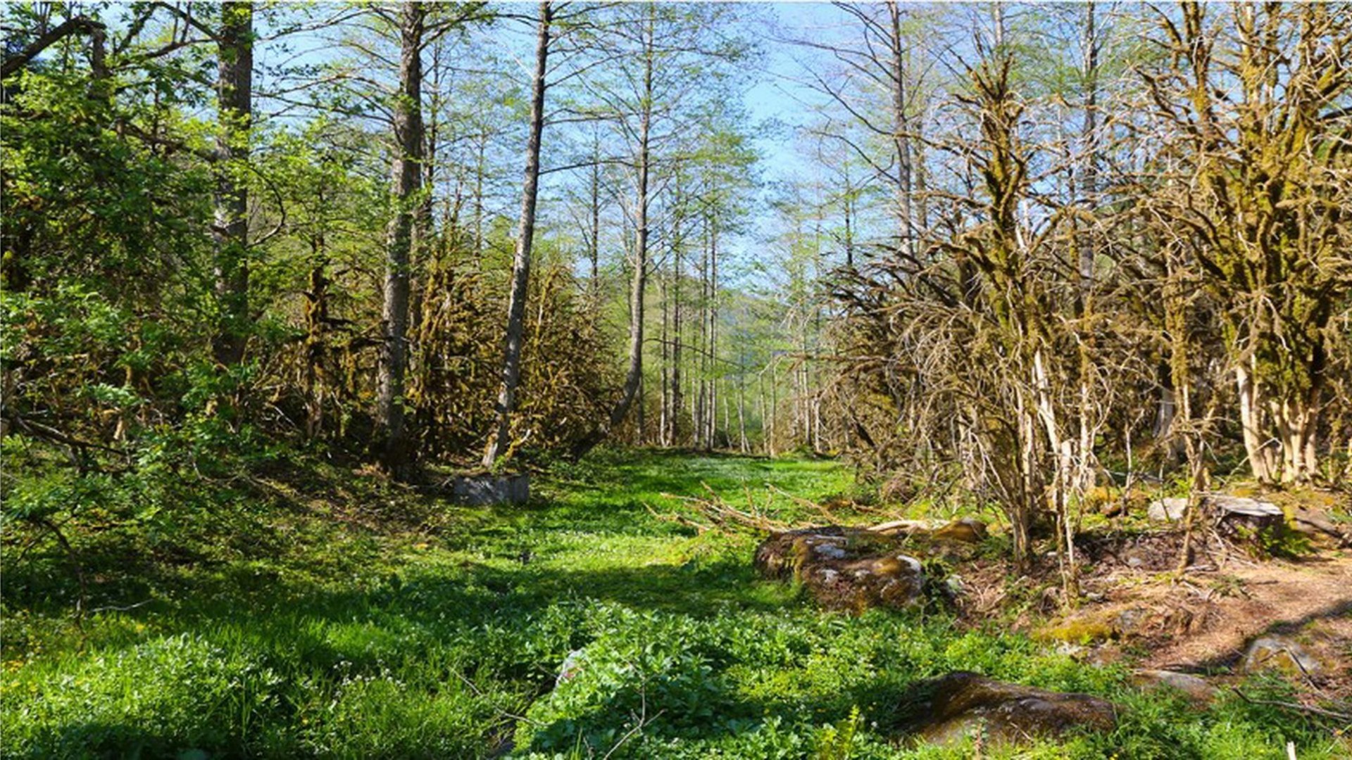 Elevit - Çat Yayla turu