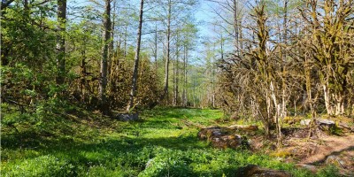 Elevit - Ayder Yaylası Turu 