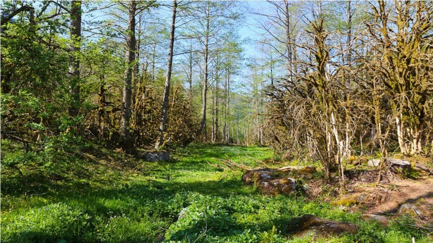 Elevit - Ayder Yaylası Turu 