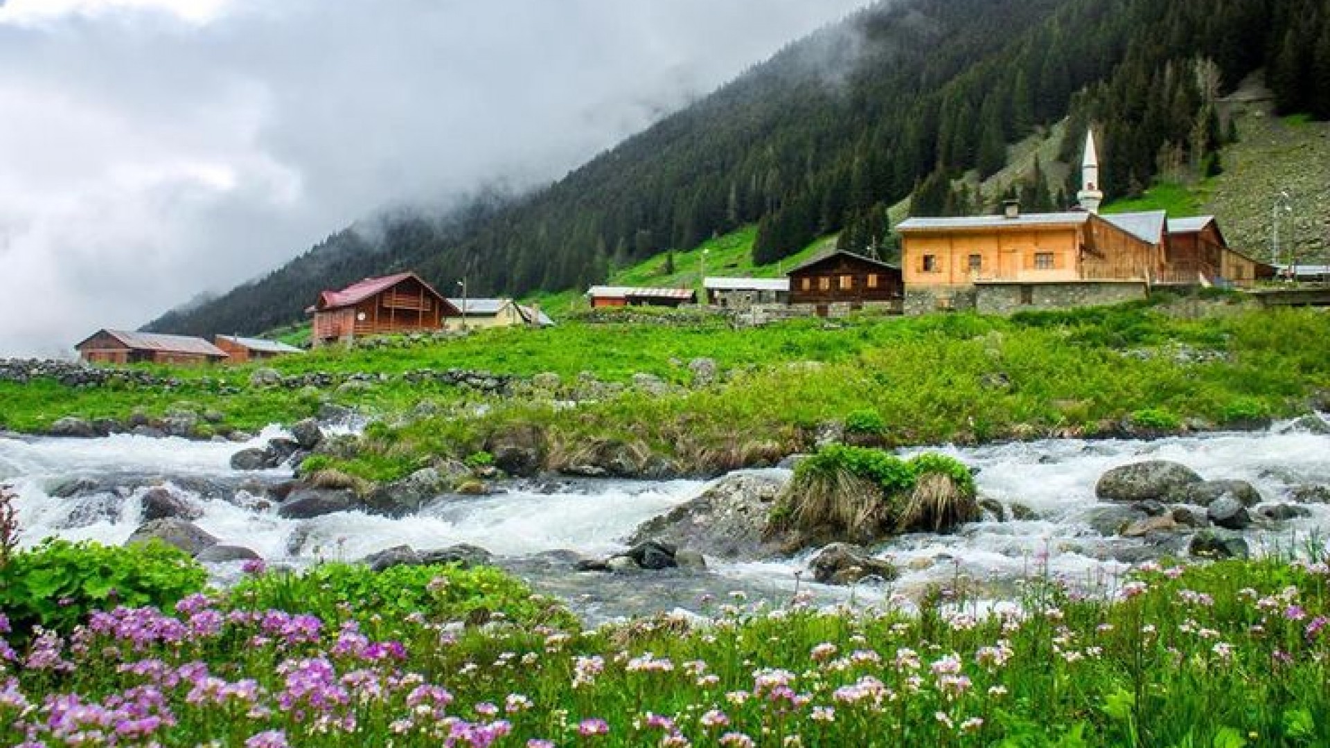 Gito - Badara - Elevit Yaylası Turu Gito - Badara - Elevit Yaylası Turu