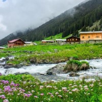 Elevit - Ayder Yaylası Turu 