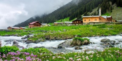 Elevit - Ayder Yaylası Turu 