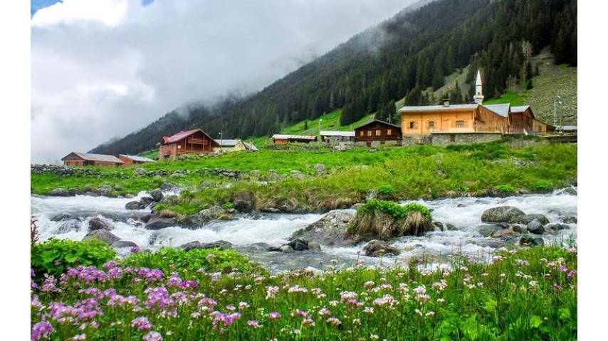 Elevit - Ayder Yaylası Turu Elevit - Ayder Yaylası Turu