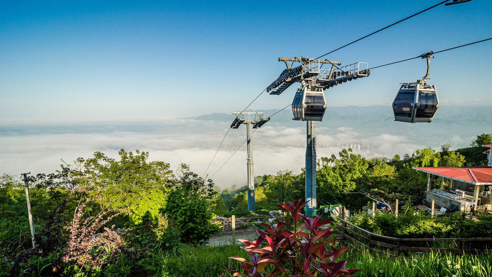 Ordu & Giresun Mavigöl Turu