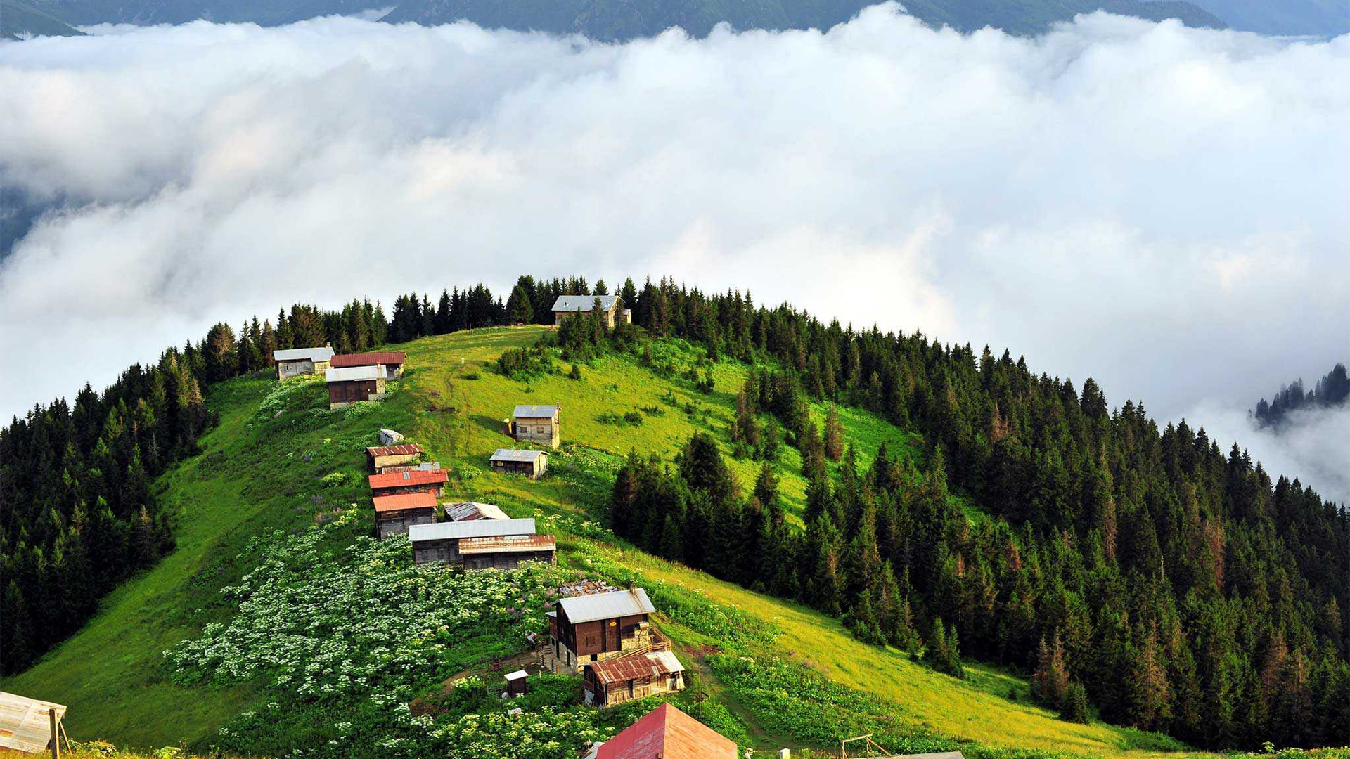 Gito - Badara - Elevit Yaylası Turu Gito - Badara - Elevit Yaylası Turu
