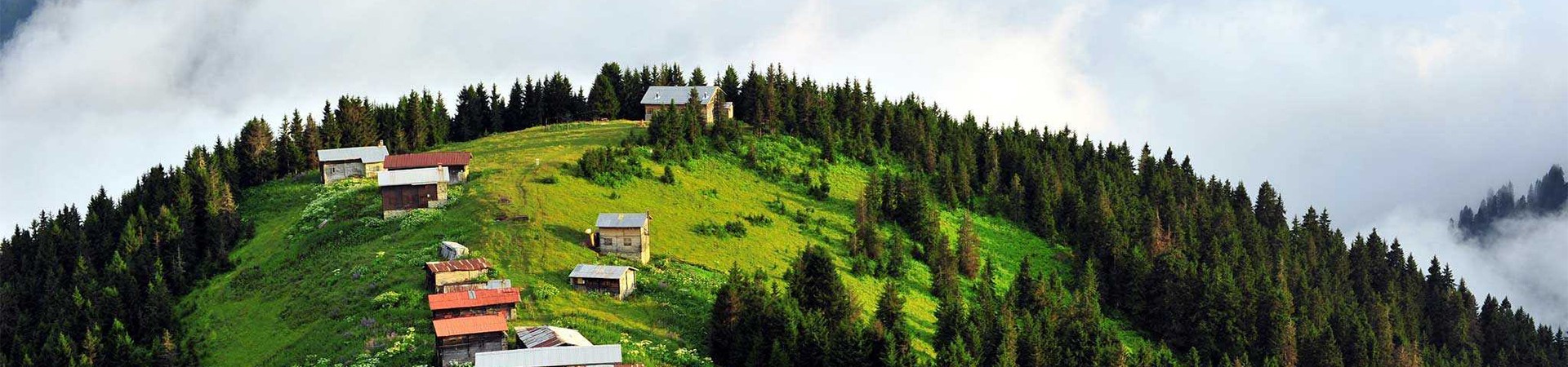 Yayla Turları Yayla Turları