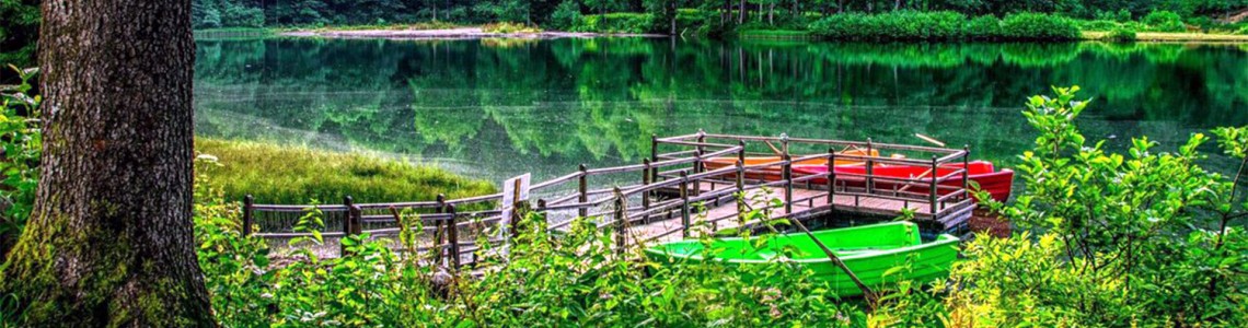 Karadeniz Turu: Doğanın Kalbine Yolculuk