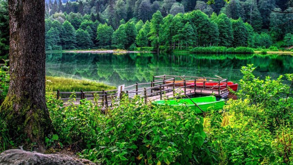 Borçka Karagöl Turu