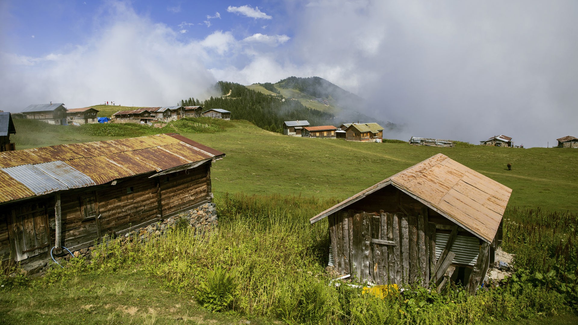 Pokut - Sal Yayla Turu Pokut - Sal Yayla Turu