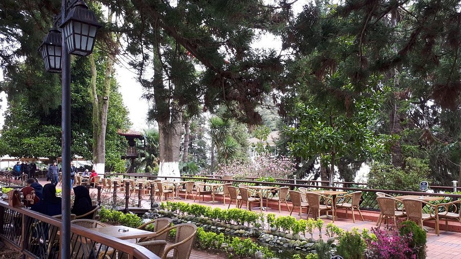 Rize Ziraat Botanik Çay Bahçesi Rize Ziraat Botanik Çay Bahçesi şehir manzarası ve çay bahçeleri
