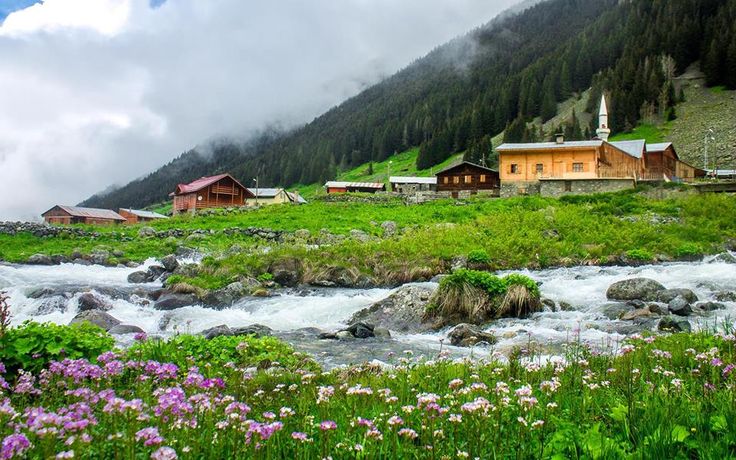 Elevit Yaylası Rize Çamlıhemşin Kaçkar Dağları yeşil doğa, yayla evleri ve sisli dağ manzarası