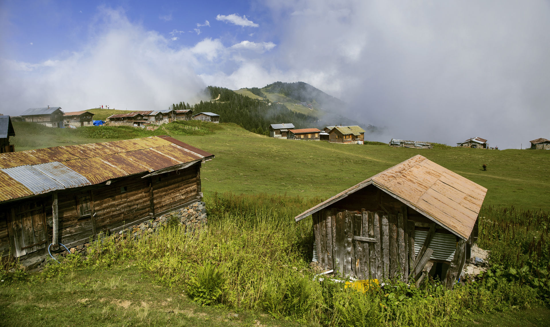 Sal Yaylası Rize Karadeniz yayla manzarası doğa turları